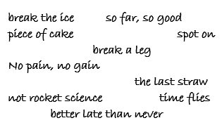 meaning of 10 true idioms
